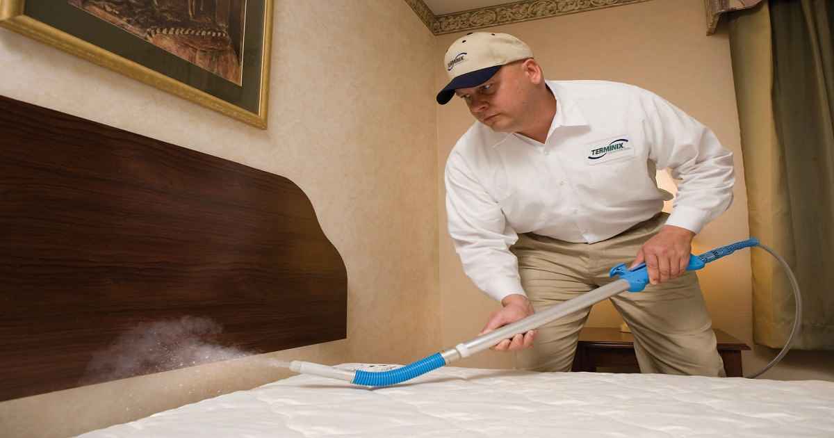 how to dispose of bed bug furniture