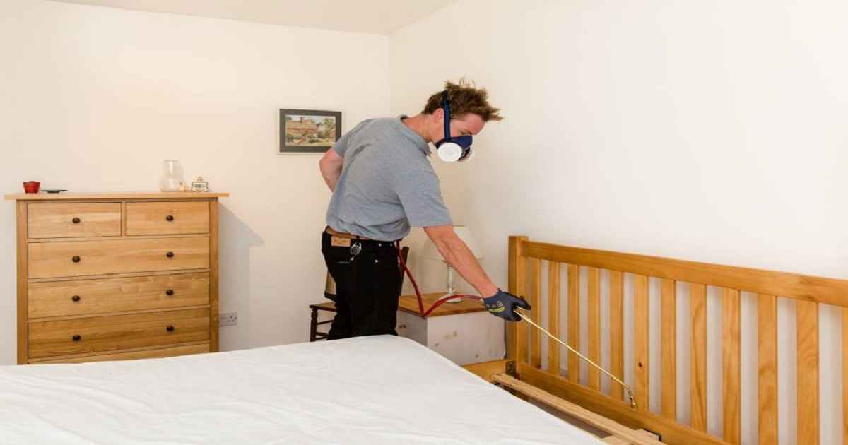 how to dispose of bed bug infested furniture