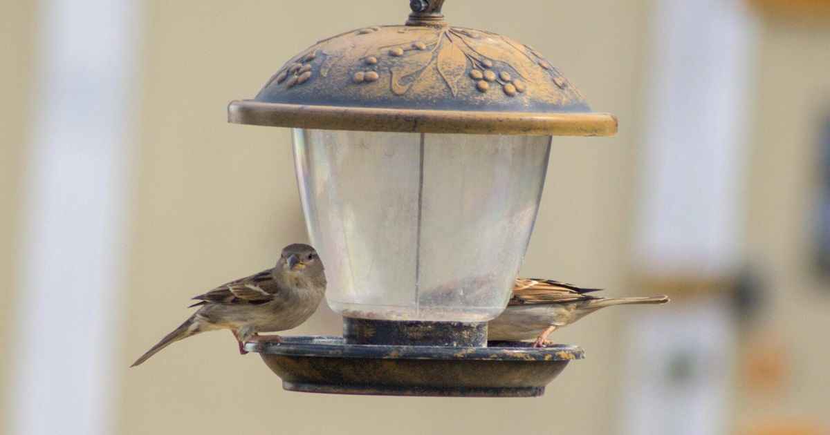 how to keep birds off outdoor furniture