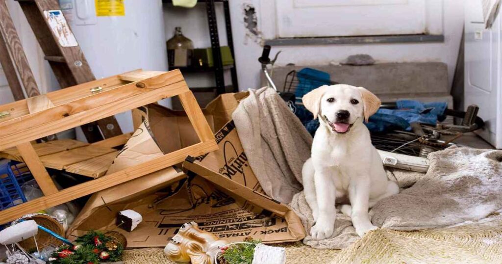 how to keep dogs off patio furniture