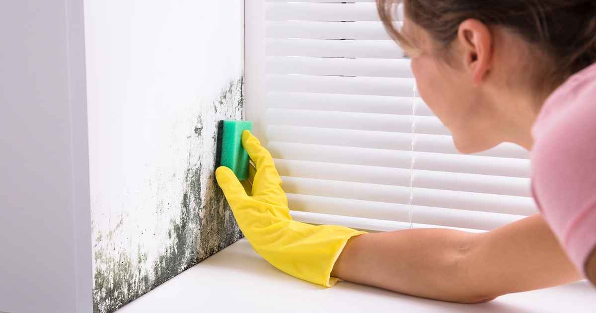 how to prevent mold on furniture