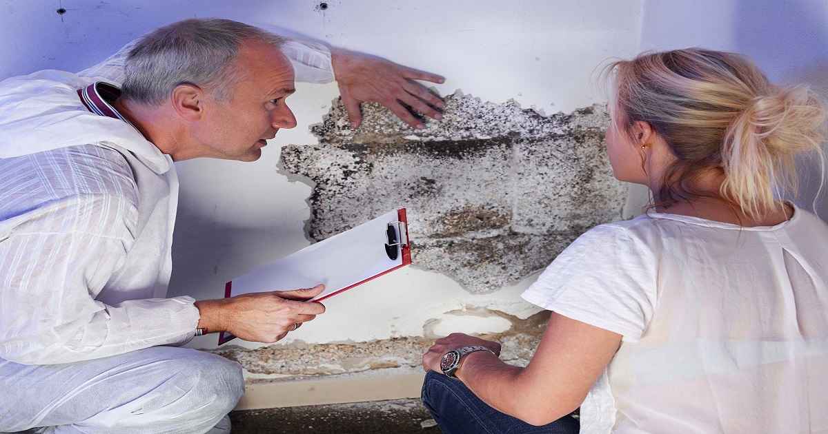 how to prevent mold on furniture