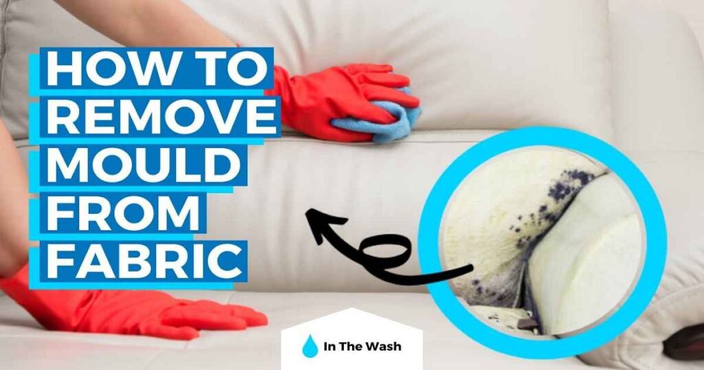 How To Remove Black Mold From Fabric