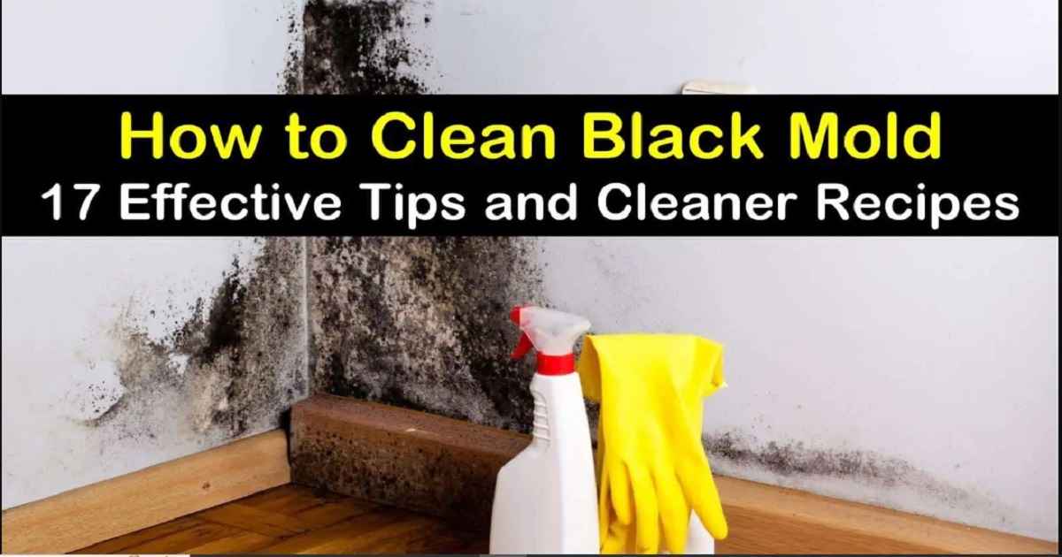 how to remove black mold from fabric furniture