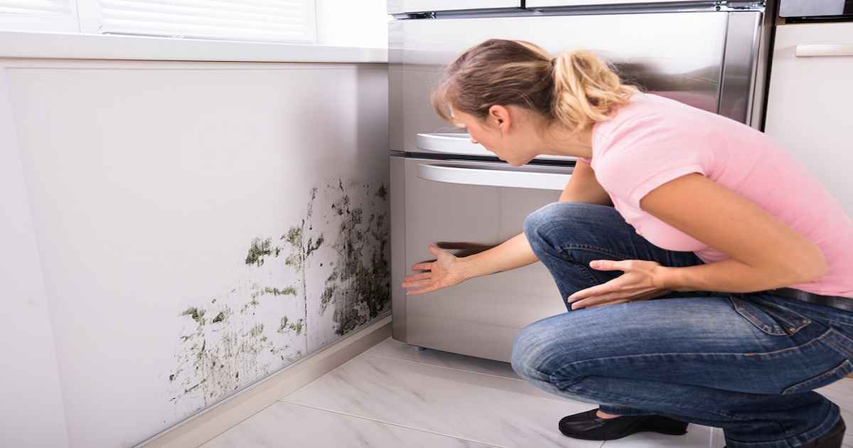 how to remove black mold from fabric furniture